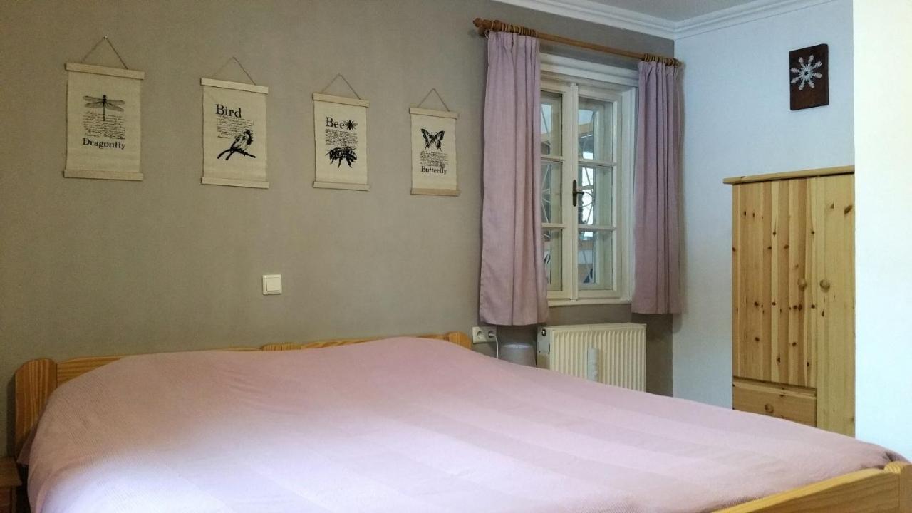 Villa Zeppelin - App Bergkristall Bramberg am Wildkogel Eksteriør billede